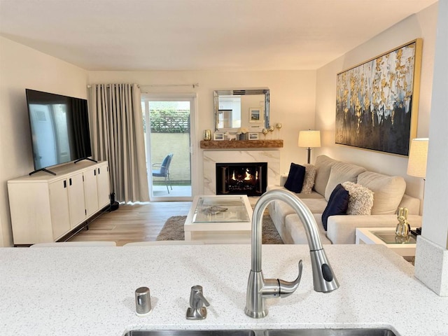 living room featuring a premium fireplace and wood finished floors