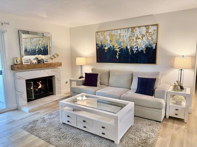 living area featuring wood finished floors and a premium fireplace