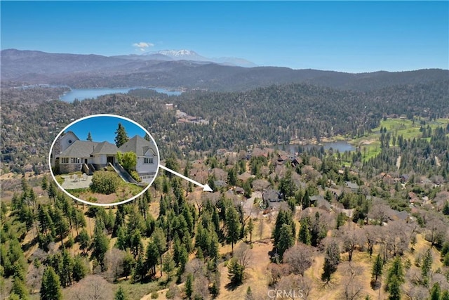 1031 Black Oaks Dr, Lake Arrowhead, CA 92352 - view of property location with a heavily wooded area and a water and mountain view