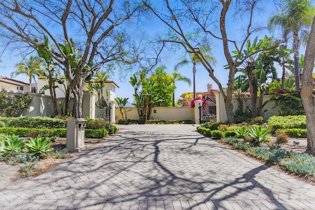2890 Gate Fifteen Pl, Chula Vista, CA 91914 - view of community featuring a gate