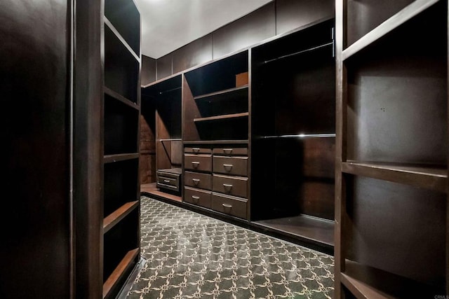 2890 Gate Fifteen Pl, Chula Vista, CA 91914 - view of walk in closet