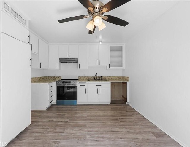 kitchen featuring ceiling fan, light wood-type flooring, under cabinet range hood, stainless steel electric stove, and a sink