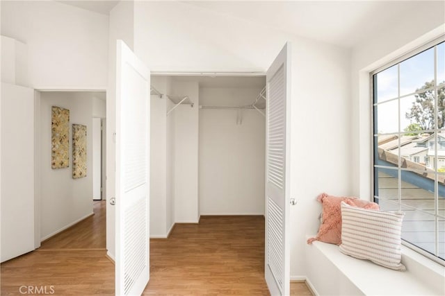 interior space featuring wood finished floors