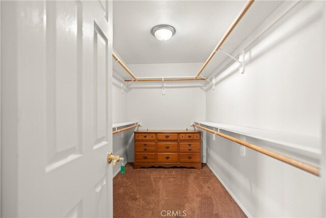 walk in closet featuring carpet flooring