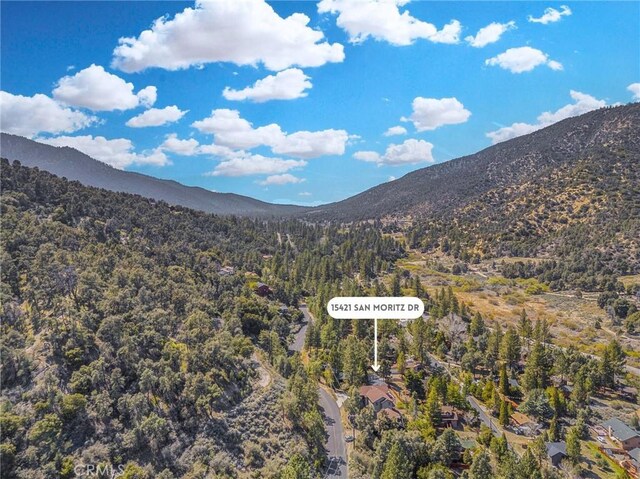 view of mountain feature with a wooded view