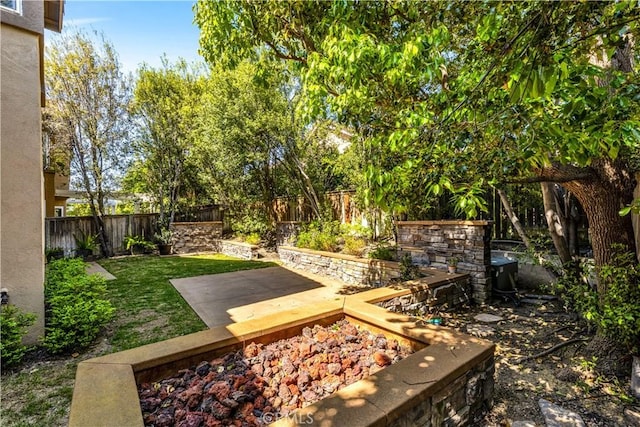 view of yard featuring a fenced backyard and a patio area