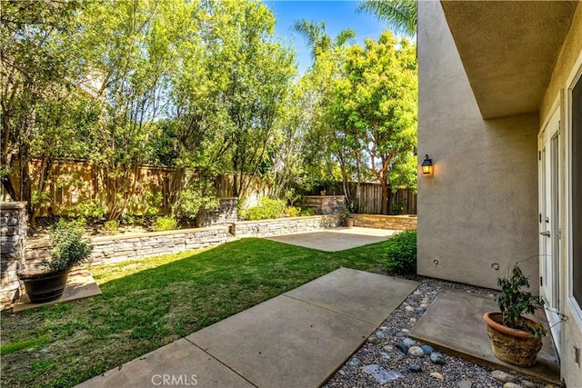 view of yard with a fenced backyard and a patio area