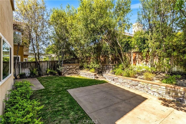 view of yard with a fenced backyard and a patio area