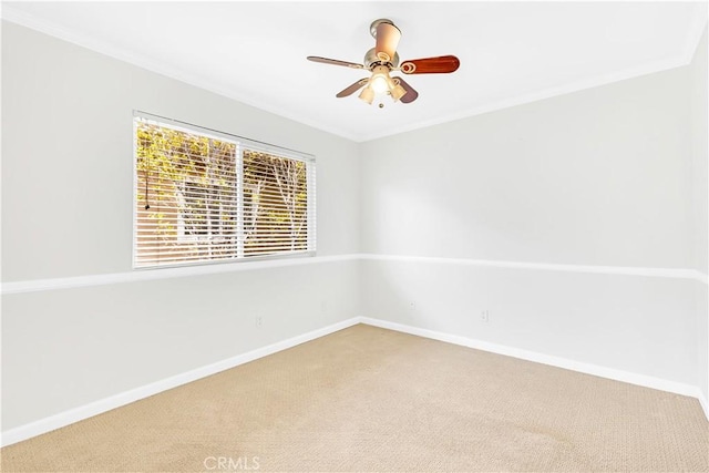 spare room with baseboards, carpet flooring, ceiling fan, and crown molding