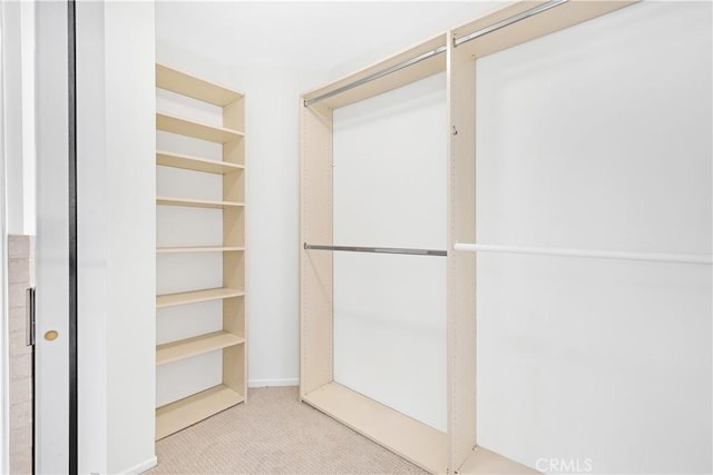 walk in closet with carpet flooring