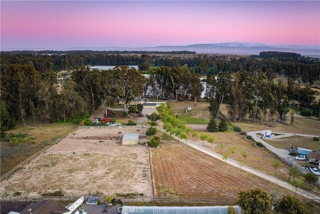 aerial view with a view of trees