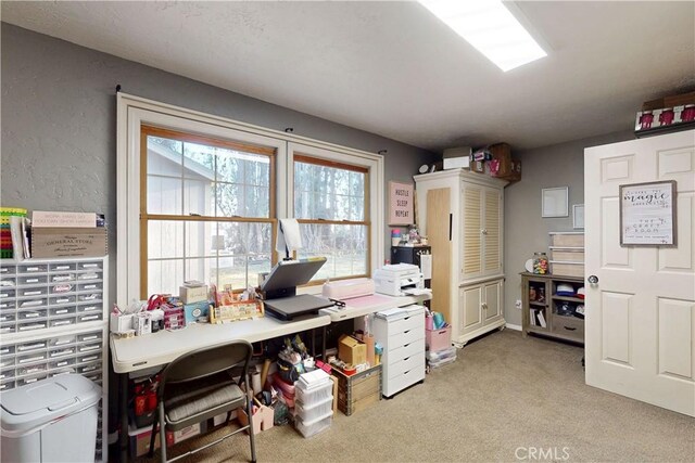 office area featuring carpet