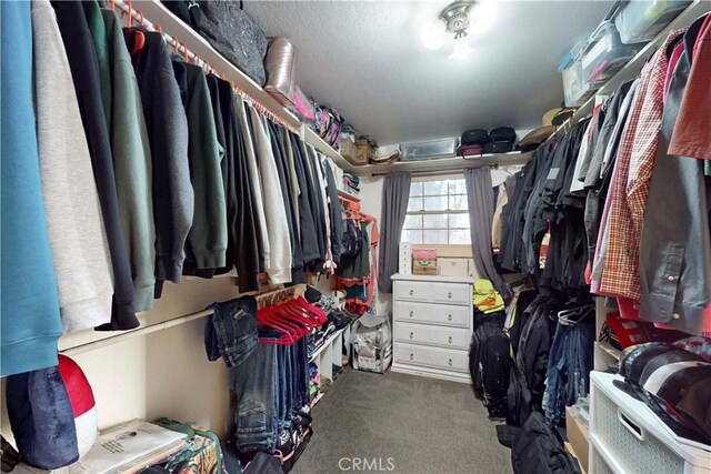 spacious closet with carpet