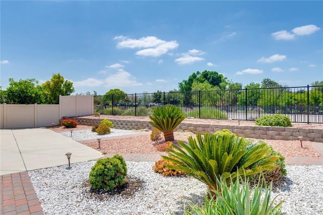 26121 Citron St, Loma Linda, CA 92354 - view of yard featuring a patio and fence