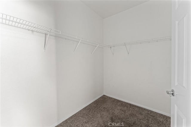 15427 Park Point Ave Unit 110, Lake Elsinore, CA 92532 - walk in closet featuring carpet