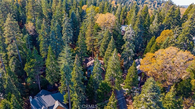 birds eye view of property featuring a wooded view