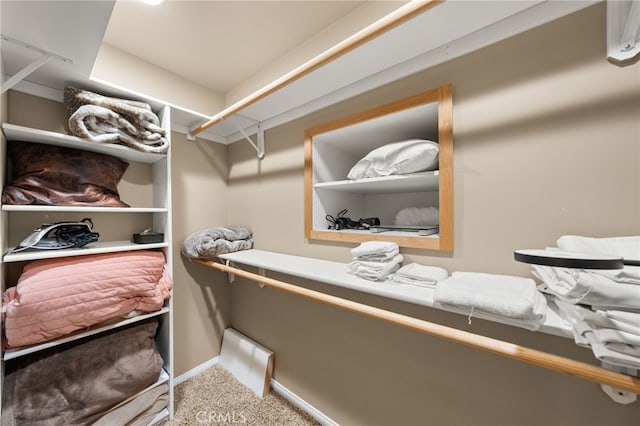 walk in closet with carpet floors