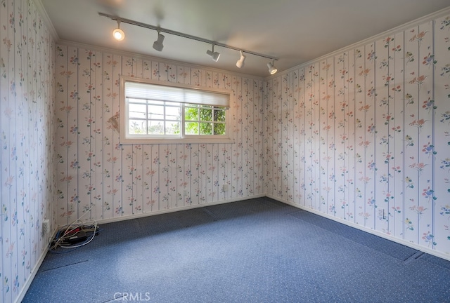 carpeted spare room with track lighting and baseboards