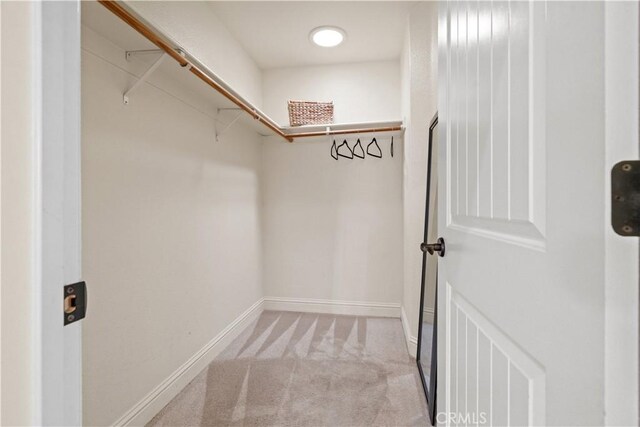 walk in closet featuring light carpet