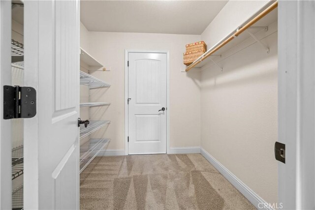 spacious closet featuring carpet floors