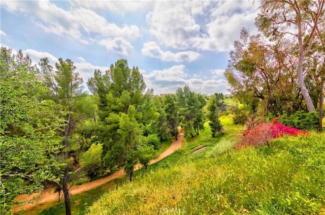 11449 Tampa Ave Unit 139, Porter Ranch, CA 91326 - view of nature