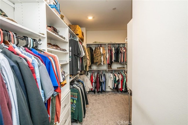 walk in closet featuring carpet