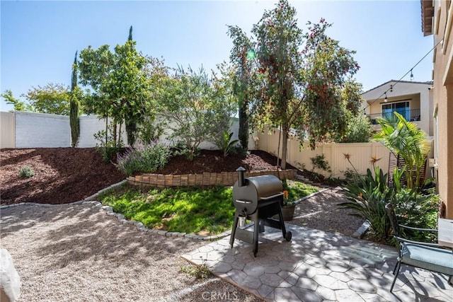 view of yard with a patio and a fenced backyard