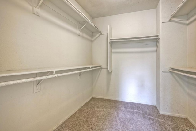 walk in closet featuring carpet floors