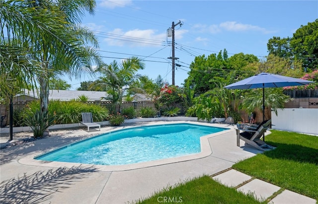 view of swimming pool with a patio, a fenced in pool, and a fenced backyard