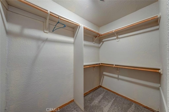 walk in closet with carpet