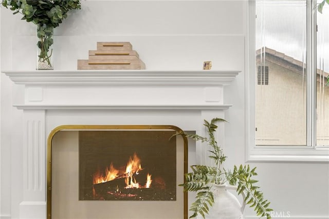 room details with a warm lit fireplace