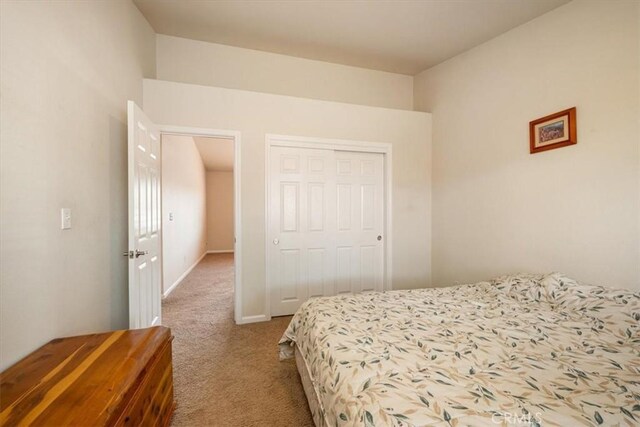 bedroom featuring baseboards, carpet, and a closet