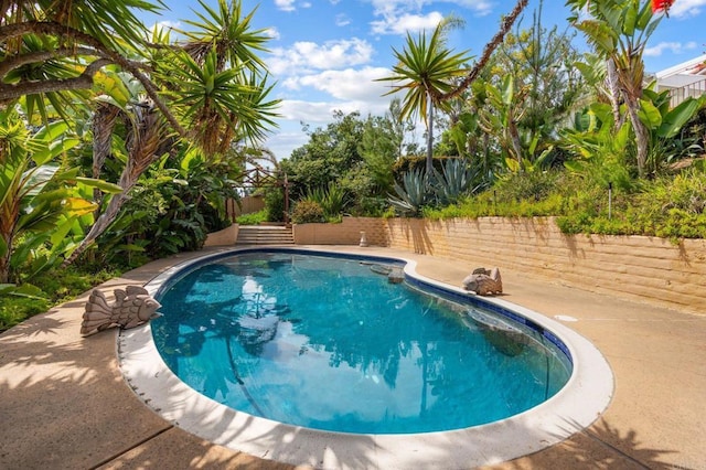 view of pool with a fenced in pool and a fenced backyard