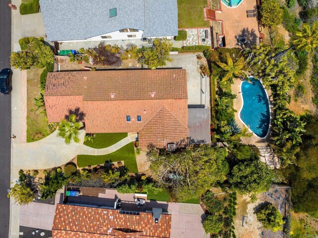 bird's eye view