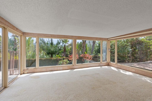 unfurnished sunroom with carpet and a textured ceiling