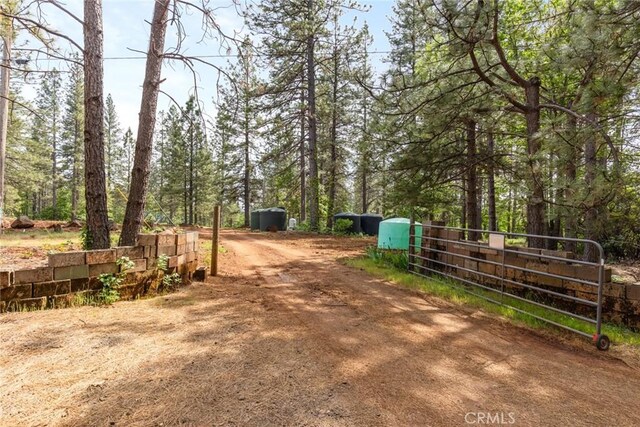 view of street with dirt driveway