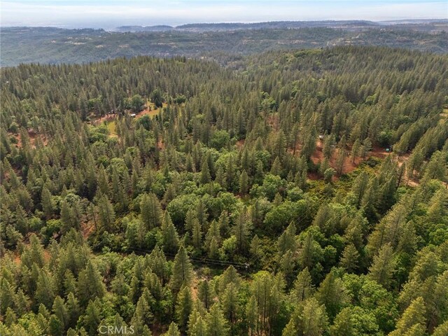 birds eye view of property featuring a view of trees and a mountain view
