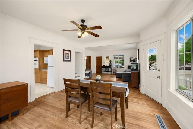dining room with a ceiling fan, visible vents, ornamental molding, stairs, and light wood-style flooring