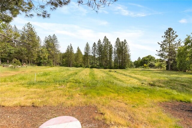 14 Wendlis Rd, Forest Ranch, CA 95942 - photo 5