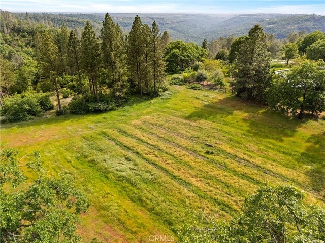 14 Wendlis Rd, Forest Ranch, CA 95942 - photo 4