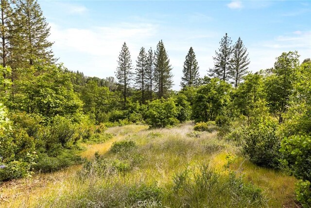 14 Wendlis Rd, Forest Ranch, CA 95942 - photo 8