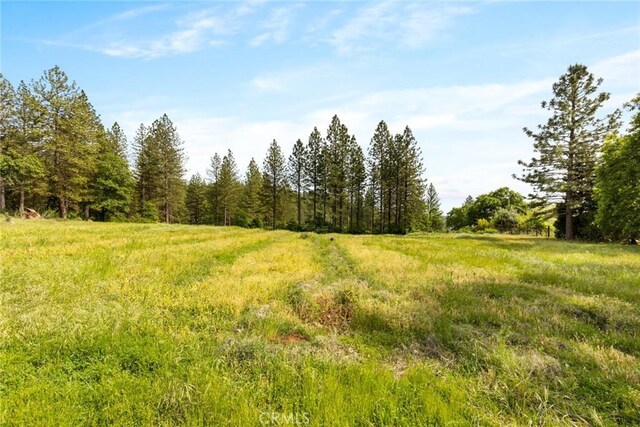 14 Wendlis Rd, Forest Ranch, CA 95942 - photo 9