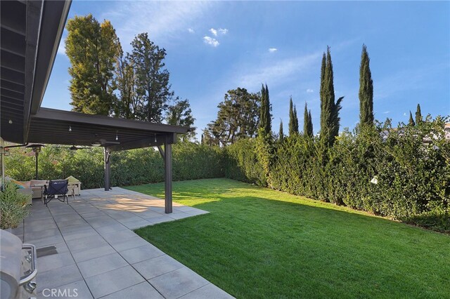 view of yard with a patio and a fenced backyard