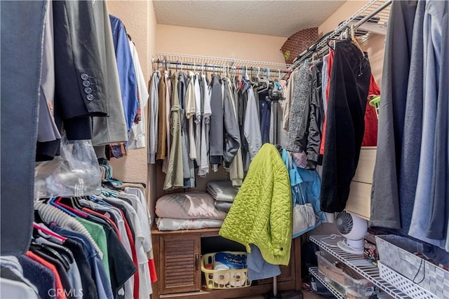 view of walk in closet