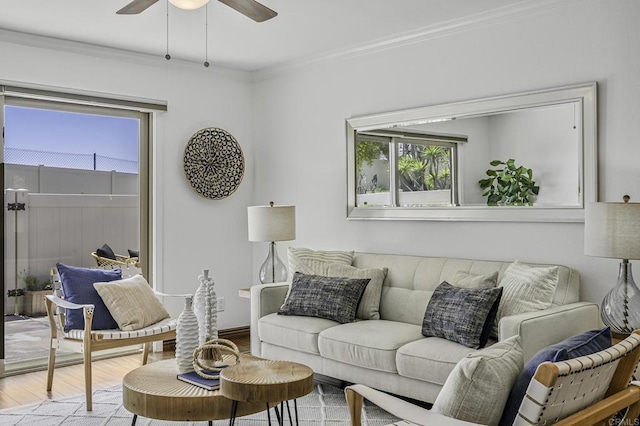living area featuring ceiling fan, ornamental molding, light wood finished floors, and a wealth of natural light