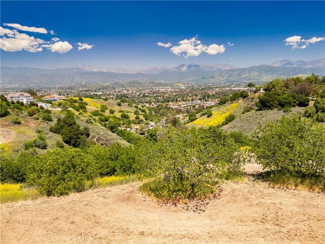 1545 Calle Cristina, San Dimas, CA 91773 - photo 4