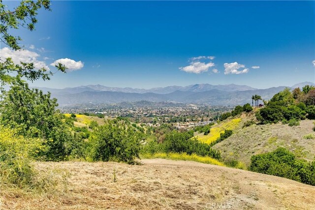 1545 Calle Cristina, San Dimas, CA 91773 - photo 5