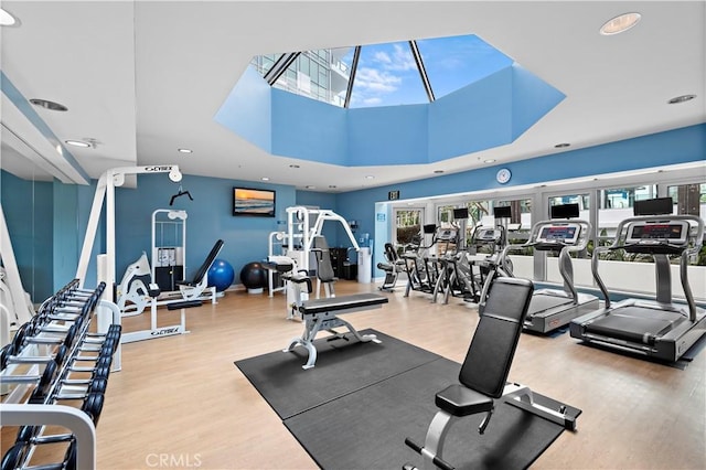 gym featuring wood finished floors, a wealth of natural light, and a skylight