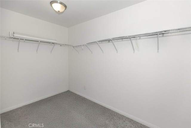 27488 Ginger Ct, Saugus, CA 91350 - walk in closet featuring carpet