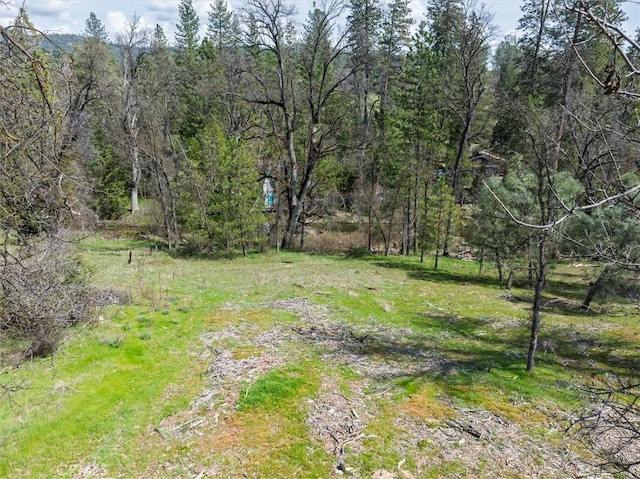 0 Springwood Ct, Oakhurst, CA 93644